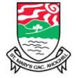 St Mary's Ahoghill GFC crest