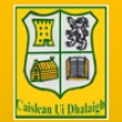 Castledaly GFC crest