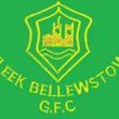 Duleek-Bellewstown GFC crest