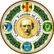 Thomas Clarkes Dungannon GFC crest