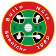 Newcestown GFC crest