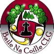 Ballinakill HC crest