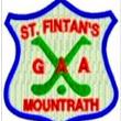St Fintans Mountrath HC crest