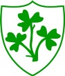 St Patricks Stamullen GFC crest