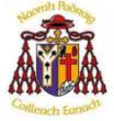 St Patricks Cullyhanna GFC crest