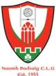 St Patricks Dromahir GFC crest