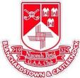 St Brigids GFC Dublin crest
