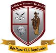 St Pats Palmerstown GFC crest