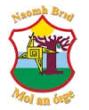 Naomh Brid Beal Feirste GFC