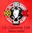 Cu Chulainns GFC Newcastle crest