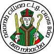 St Killians Whitecross GFC crest