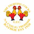 Fighting Cocks GFC crest